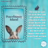 Peacebunny Island - Inspire-Truth