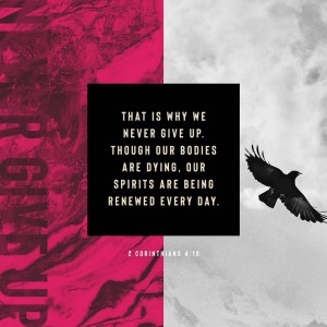 Even though stress may overtake us and fear can paralyze us, our spirits are being renewed each day, and we WILL NOT falter. Be encouraged today that whatever you’re going through, you will make it to the other side and prevail. Last night I was completely stressed and overwhelmed by the decisions I have to make this week, but after reading these Scriptures, I once again feel like I’m standing on solid ground!
“Therefore we do not lose heart. Though outwardly we are wasting away, yet inwardly we are being renewed day by day. For our light and momentary troubles are achieving for us an eternal glory that far outweighs them all. So we fix our eyes not on what is seen, but on what is unseen, since what is seen is temporary, but what is unseen is eternal.”
2 Corinthians 4:16-18 NIV
📷: YouVersion