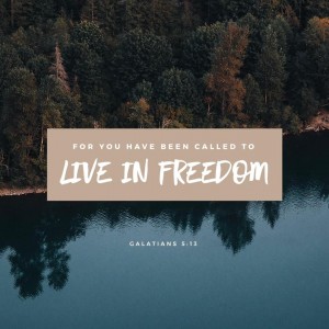 Freedom. Whenever I hear that word I immediately think of the scene from Braveheart, “FREEDOM!”
As this verse says, we are called to live in freedom; but, the second part explains that just because we are free, doesn’t mean we can do whatever we want... Whatever our flesh wants. There is always a price we must pay for freedom; however because Yeshua paid the price for us, we can come freely to the Father and have a relationship with Him!
The difference between our flesh and the Spirit:
Our flesh has a sinful nature and will always pull us to do things that aren’t rooted in God; while the Spirit is righteous and will always lead us onto the path of wisdom, understanding, and faith. So, which one will you choose? We cannot follow both. There will be instances where the flesh wins out since we are human, but understand that God is always waiting for you to come to Him.
Verses 19-23 in this chapter couldn’t have explained it any better. The lists show what the flesh desires versus what comes out of following the voice of the Spirit. We all have the desire to be good, but we also have an evil nature that we can either embrace or keep buried.
I encourage you to walk in harmony with one another and listen to the Spirit’s direction. It’s pretty neat to hear His voice and see the outcome of our obedience. At the end of the day, the choice is yours so choose wisely!
📷: YouVersion