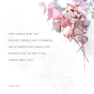 Losing friends, switching jobs, and changing schedules can be strenuous. We all go through periods of change, but what we might not realize is that this period can also be God’s way of pruning out the branches that aren’t producing fruit in your life. It may seem that your world is turning upside down, but even in the midst of stress and indecision, remember that God is with you and has something greater in store your life! Don’t hold onto the branches that aren’t being fruitful or uplifting your life; be ready for a change and when the day comes, embrace it! 🤗
📷: YouVersion