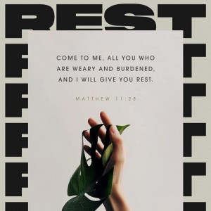 After a crazy, intense, week, I’m so thankful it’s Shabbat! No matter what happened in your life this week, rest today in God’s presence and revel in His peace and understanding. He is in control, there is nothing more you can do, so rest your bodies to prepare for the coming week!
“Come to me, all you who are weary and burdened, and I will give you rest. Take my yoke upon you and learn from me, for I am gentle and humble in heart, and you will find rest for your souls. For my yoke is easy and my burden is light.”
Matthew 11:28-30 NIV
📷: YouVersion