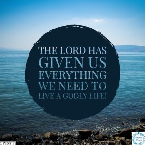 No matter what temptations or struggles you’re facing, today, be encouraged that Yeshua has overcome the world and that His Word contains all we need to fight the battles that are raging against us. Strive to live a pure, godly, life and don’t feel ashamed to tell people about your hardships. Remember, even Yeshua was tempted; however, the devil has no power when the Spirit of God is living within us!
“His divine power has given us everything we need for a godly life through our knowledge of him who called us by his own glory and goodness. Through these he has given us his very great and precious promises, so that through them you may participate in the divine nature, having escaped the corruption in the world caused by evil desires.”
2 Peter 1:3-4 NIV