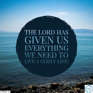 No matter what temptations or struggles you’re facing, today, be encouraged that Yeshua has overcome the world and that His Word contains all we need to fight the battles that are raging against us. Strive to live a pure, godly, life and don’t feel ashamed to tell people about your hardships. Remember, even Yeshua was tempted; however, the devil has no power when the Spirit of God is living within us!
“His divine power has given us everything we need for a godly life through our knowledge of him who called us by his own glory and goodness. Through these he has given us his very great and precious promises, so that through them you may participate in the divine nature, having escaped the corruption in the world caused by evil desires.”
2 Peter 1:3-4 NIV