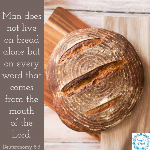 A word that keeps coming into my mind, this week, is WISDOM! As we get ready to make atonement for Yom Kippur, which starts tonight, I’m excited to see where God is going to lead me. I’ll be dedicating my day to studying wisdom and the Temple of the Lord. What are you studying right now?